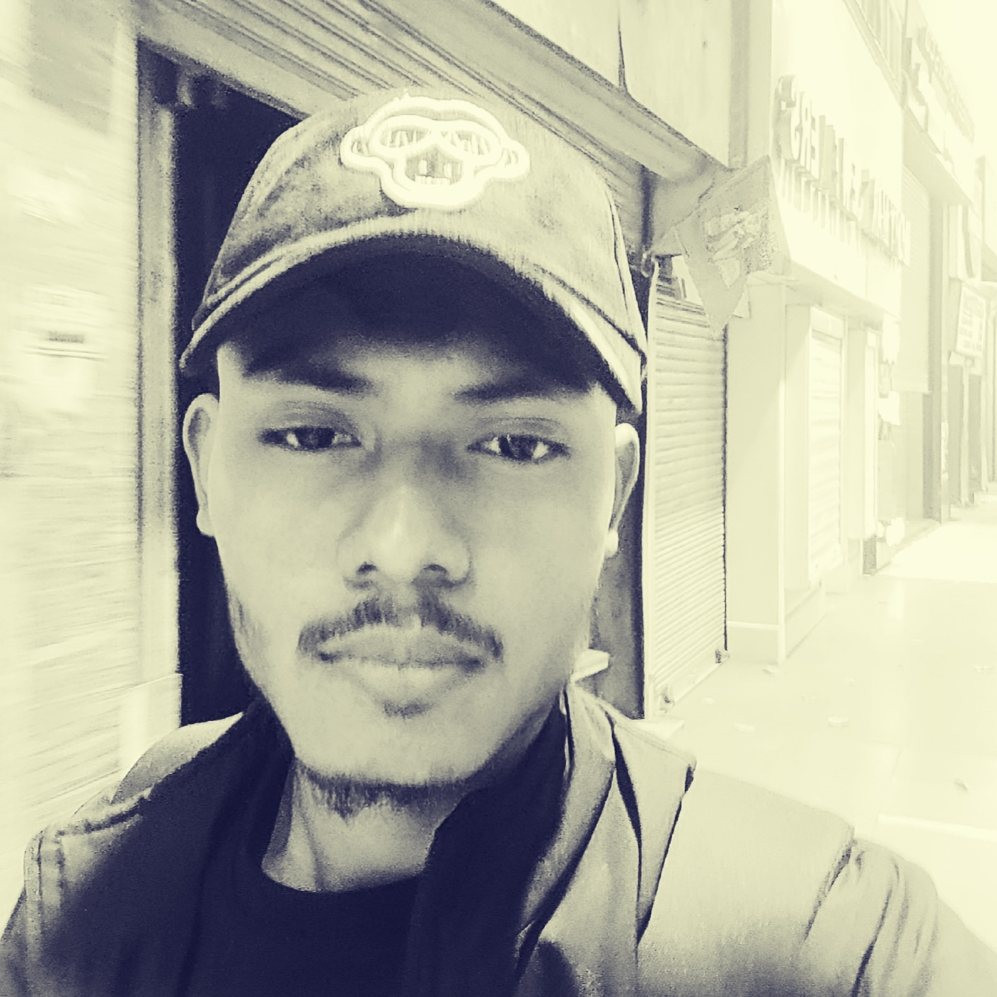 Himanta B