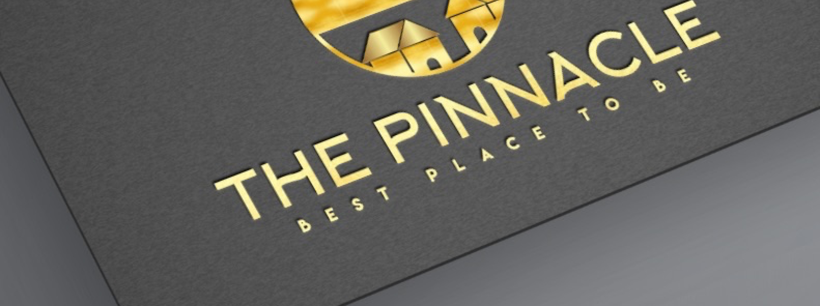 The Pinnancle