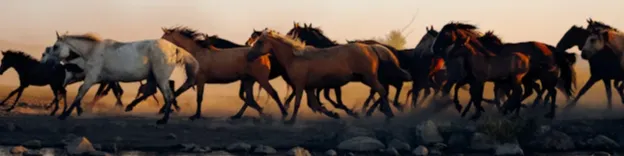 Estancia "La Alegría" 